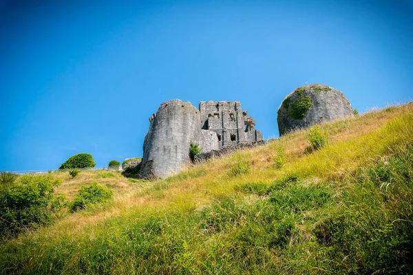 Château Ruine Contre Ciel Bleu Champ Vert — Photo