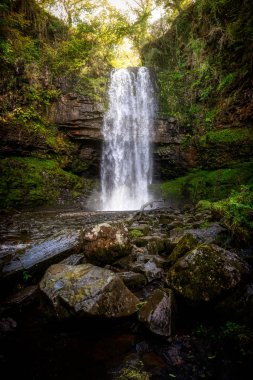 Gözlerden uzak bir ormandaki küçük bir nehre çalıştıran bir orman şelale