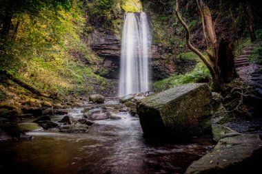 Gözlerden uzak bir ormandaki küçük bir nehre çalıştıran bir orman şelale