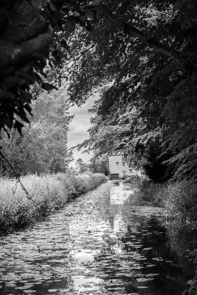A water mill at the end of a river channel, framed by a canopy of trees, in black and white