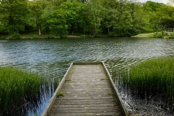 Wooden Walkway Going Out Lake Trees Far Side — Stock Photo, Image