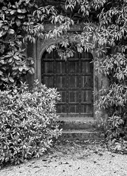 Alte Versteckte Tür Block Und Weiß — Stockfoto