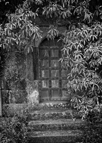 Старая Скрытая Дверь Блоке Белом — стоковое фото