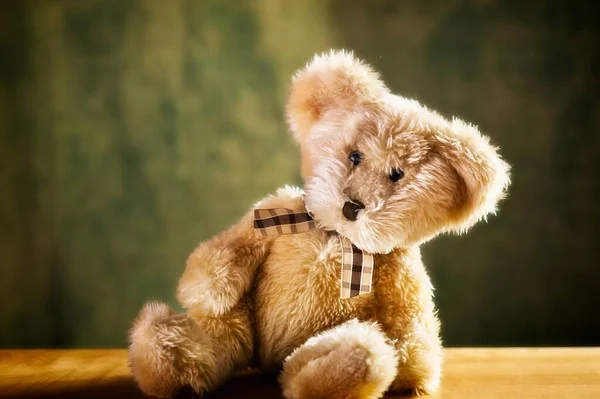 Small Teddy Sitting Shelf — Stock Photo, Image