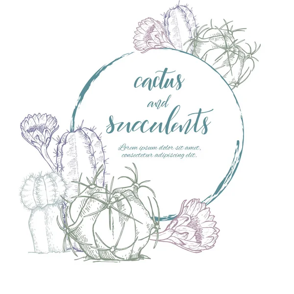 Croquis linéaire cactus et plantes succulentes — Image vectorielle