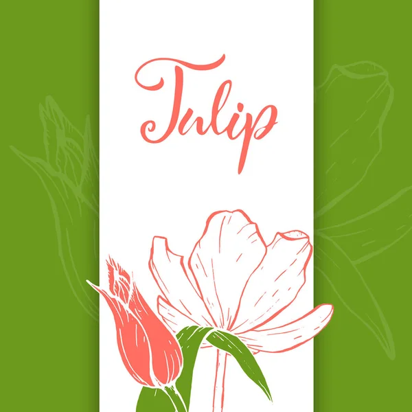 Desenho flor tulipas lineares . — Vetor de Stock