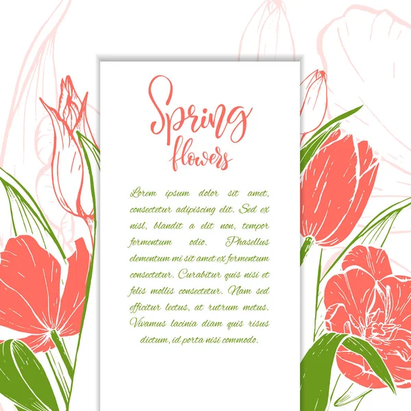 Croquis fleurs linéaires de tulipes . — Image vectorielle