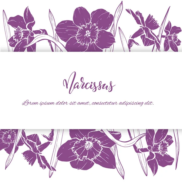 Skica lineární Narcis květ. — Stockový vektor