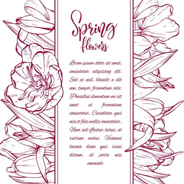 Croquis fleurs linéaires de tulipes . — Image vectorielle