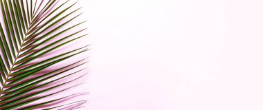 Tropikal yaz geçmişi. Palmiye pembe bir arka plan üzerinde bırakır. Üst görünüm, metin için kopyalama alanı, düz döşeme.