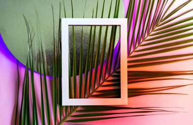 Trendy neon arka planda palmiye yaprakları ile beyaz çerçeve. Yaz konsepti. Üst görünüm, düz yatıyordu.