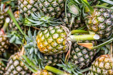 Taze ananas meyve pazarında Tayland.