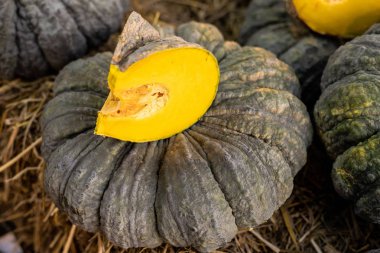 Cilt kabak Tay pazarında meyve tepsisi zemin üzerine yeşil.