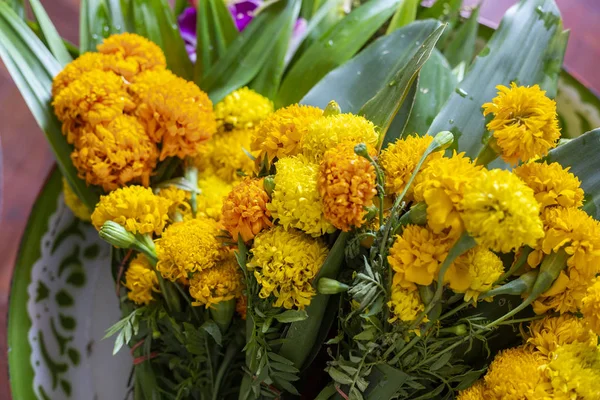 Tayland Budist Dini Için Marigold Çiçek Kapatın — Stok fotoğraf