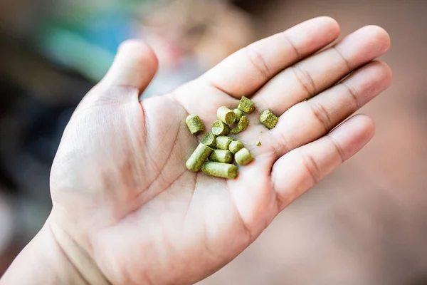 Pellets ev bira için elime hops, tay Craft Bira.