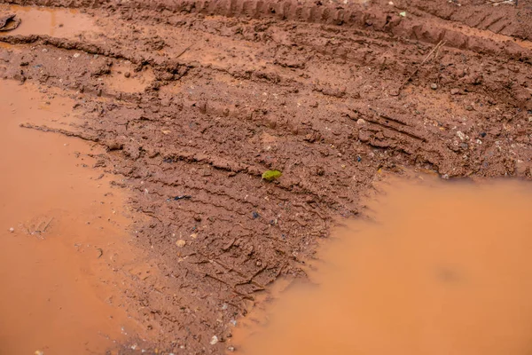 大雨の後、クローズアップ泥テクスチャの背景. — ストック写真