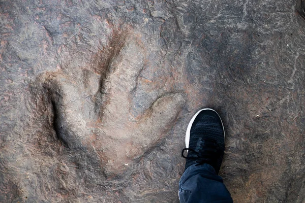 Kalasin eyaletinde Dinosaur ayak izleri Amphoe na Khu, Tayland.