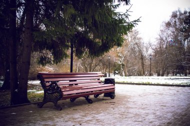 Ormanda yalnız tezgah ayakta