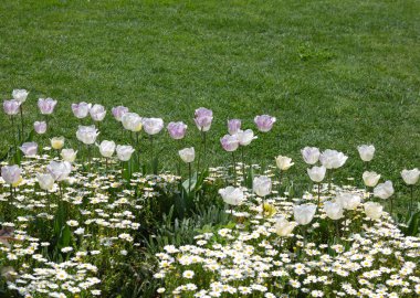 Güzel bahar bahçe peyzaj. Arka bahçesinde çiçek düzenleme ile dekoratif Flowerbed.