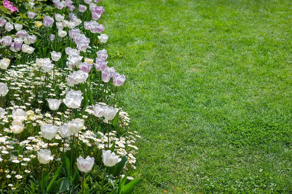 Hermoso Paisaje Jardín Primavera Cama Flores Decorativa Con Arreglo Floral — Foto de Stock