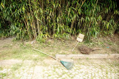 Faraş, süpürge ve yaprak ve sonbahar bahçe bambu ile yeşil çimenlerin üzerinde bahçesi komisyon
