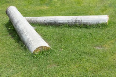 Tarihi bir binada iki sütun sakladı kendilerini çim bıçakları arasında istiyor