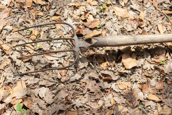 Alte Klassische Rostige Mistgabel Aus Metall Mit Holzgriff Die Auf — Stockfoto