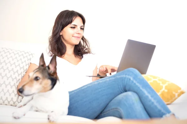 Attractive Young Woman Relaxing Sofa Laptop Computer While Little Jack Royalty Free Stock Images