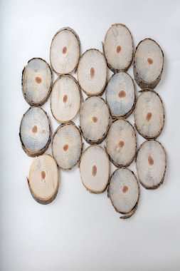 Ahşap ağaç dilimleri ile yıllık halkalar ve doku üzerinde beyaz izole. Daire ile organik bir hissediyorum.