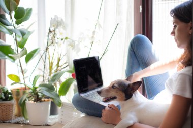 Onun yanında küçük köpekli bir güneşli pencere koltukta otururken bir dizüstü bilgisayarda tarama çekici genç kadın