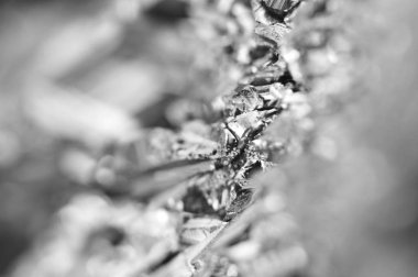 Siyah ve beyaz arka plan kuvars yüzey. Makro