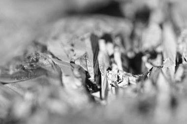 Siyah ve beyaz arka plan kuvars yüzey. Makro