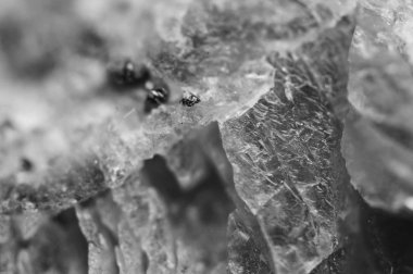 Kristalleri Rodokrozit pirit parçacıkların ile. Siyah- beyaz doku Mineral arka plan için. Makro.