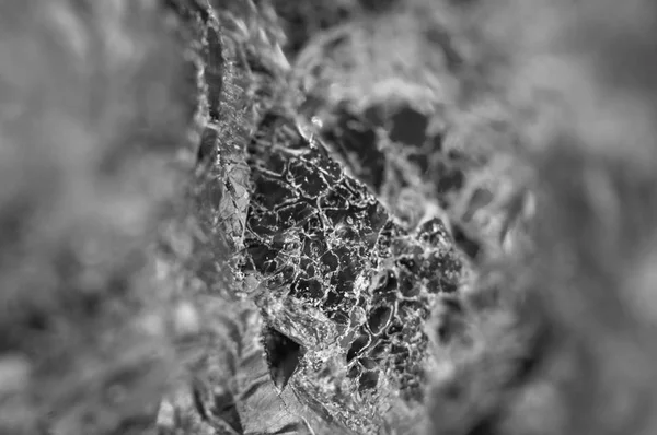 Foto en blanco y negro, textura de cristal natural. Macro . — Foto de Stock