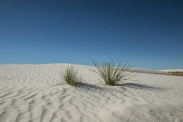 White Sands, New mexico