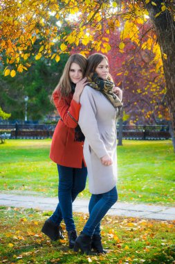 Parkta bir yürüyüş için güneşli bir sonbahar gününde iki güzel kız arkadaşım.