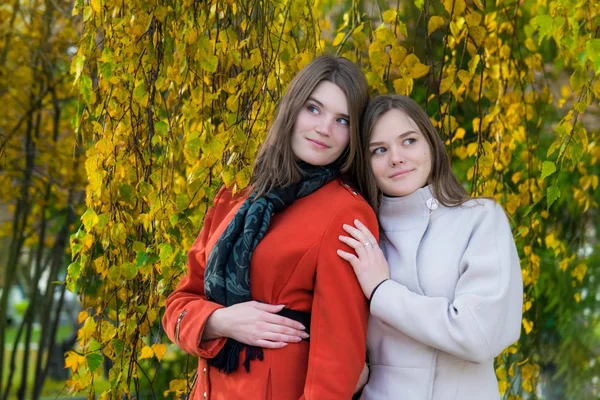 Portre iki güzel mutlu kız parkta bir yürüyüş için güneşli bir sonbahar gününde.