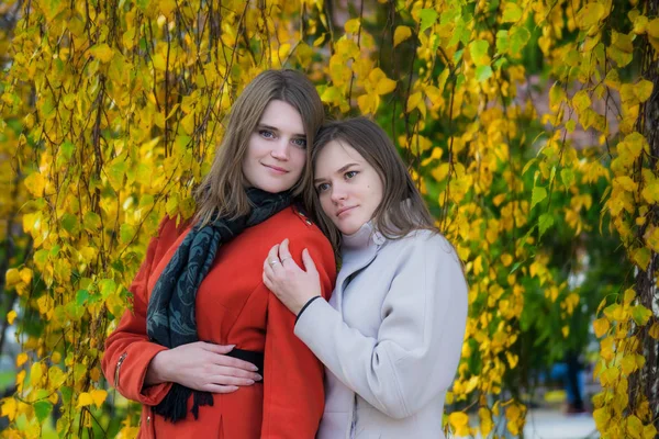 在一个阳光明媚的秋日 在公园散步的两个美丽的快乐女友肖像 — 图库照片
