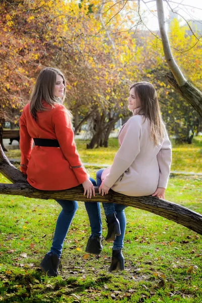 Dos Novias Alegres Están Sentadas Una Rama Árbol Parque Una —  Fotos de Stock