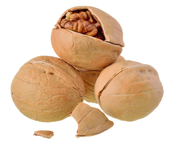 Walnut Spleet Dicht Tot Geïsoleerd Een Witte Achtergrond — Stockfoto