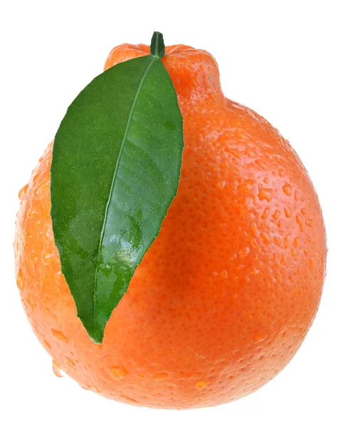 Mandarin Citrus Med Blad Vit Bakgrund — Stockfoto