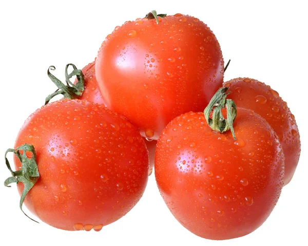 Ripe wet heap tomato — Stock Photo, Image