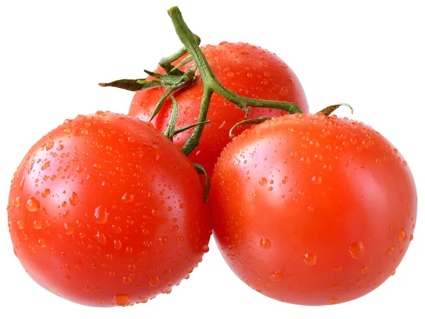 Reife drei Tomaten — Stockfoto