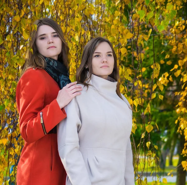 Retrato de dos hermosas novias felices en un día soleado de otoño —  Fotos de Stock