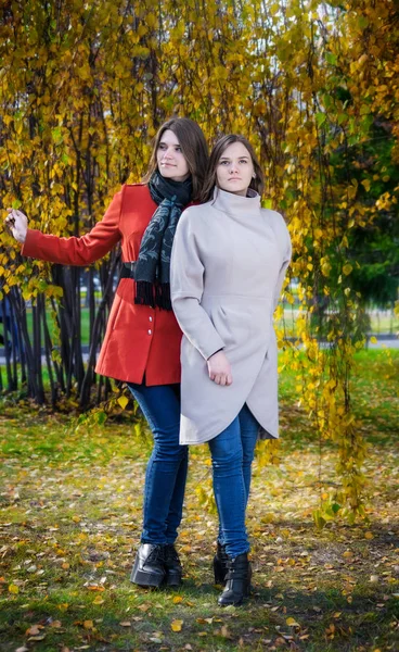 Two beautiful happy girlfriends on a sunny autumn day — Stock Photo, Image