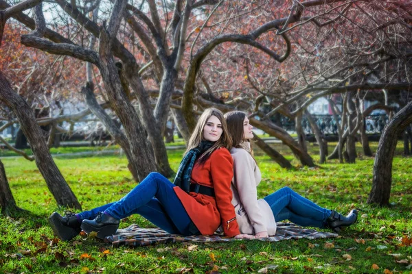 Duas namoradas bonitas estão sentadas no gramado no parque — Fotografia de Stock