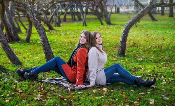 Две симпатичные девушки сидят на лужайке в парке — стоковое фото