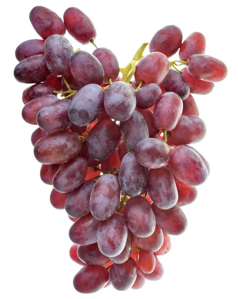 Bando maduro de uvas azuis isoladas — Fotografia de Stock