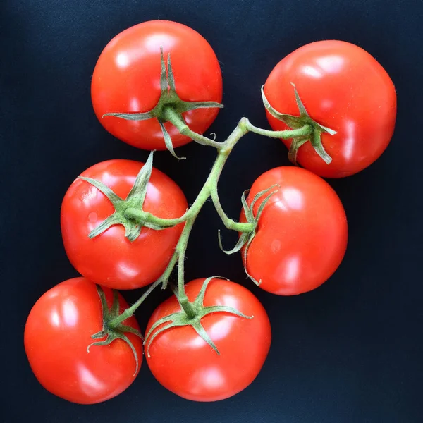 Tomato Branch Top View Black Background — Stock Photo, Image