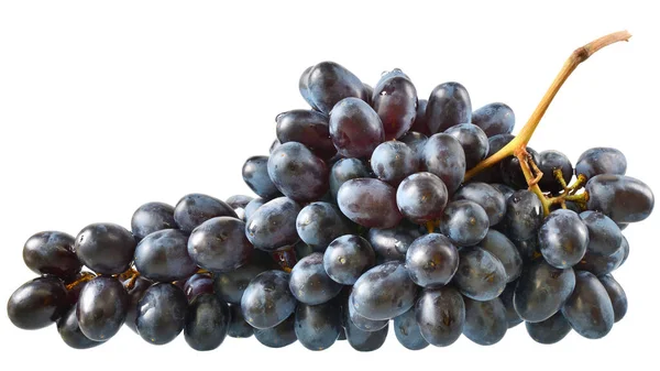 Ripe Bunch Blue Grapes White Background — Stock Photo, Image